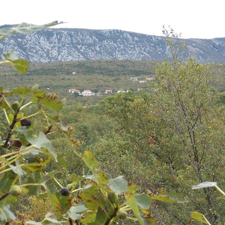 Apartments Rogic Ядраново Екстер'єр фото